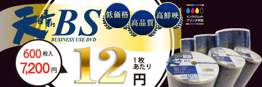 RiTEK ノーブランド DVD-Rが激安 1枚あたり11.5円